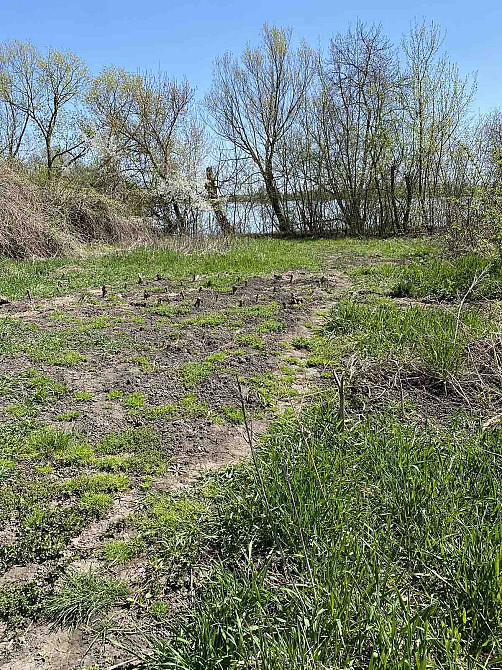 Продаж земельної ділянки 9 соток на Летичів Vinnytsya - photo 3