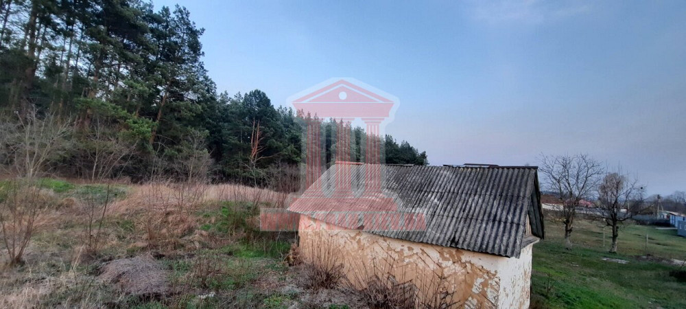 Продаж 1-поверховий Будинок з ділянкою 11 сот 50 кв.м    - фото 5