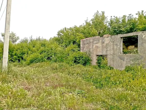 Продаж земельної ділянки Для будівництва приватного житлового будинку площа 18 сот вулиця Тиха, 16 Одеса