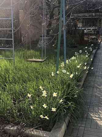 Продается дача возле моря. Ст. Студенческая. 