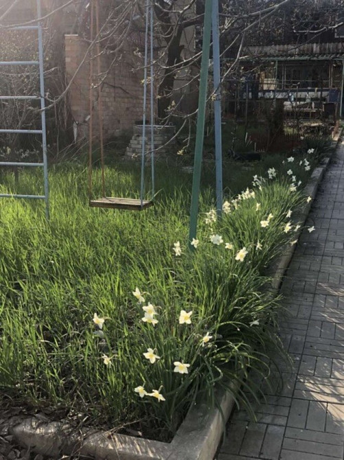 Продается дача возле моря. Ст. Студенческая.  - фото 4