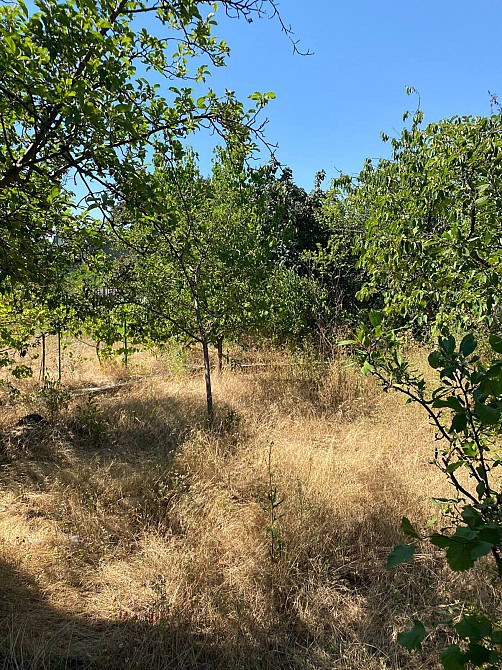 Продаж Будинок на СТ Струмок, 67  - фото 13