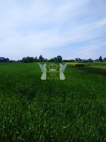 Продажа земельного участка  площадь 29.6 сот Шевченка вулиця  - изображение 4