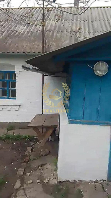 Продам будинок у Денихівці, 3 кімнати Денихівка - фото 10