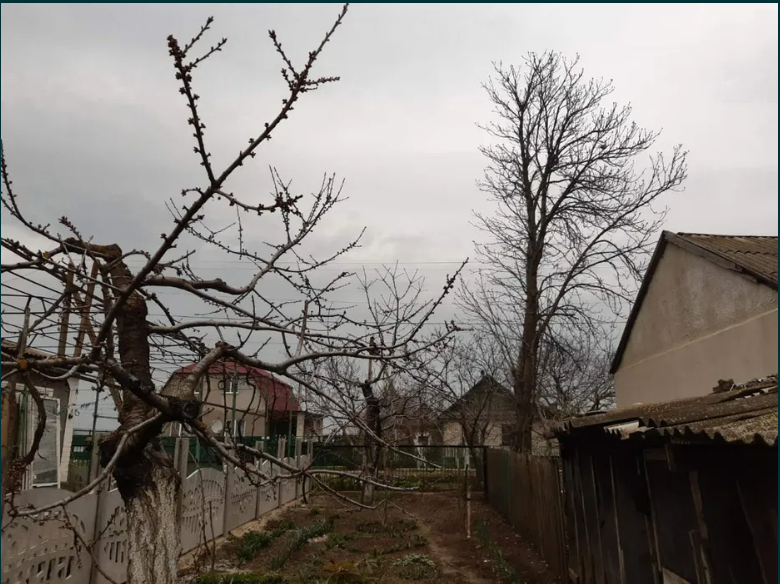 Продам дом в с.Переможне (15 км от Одессы) Переможне - фото 17