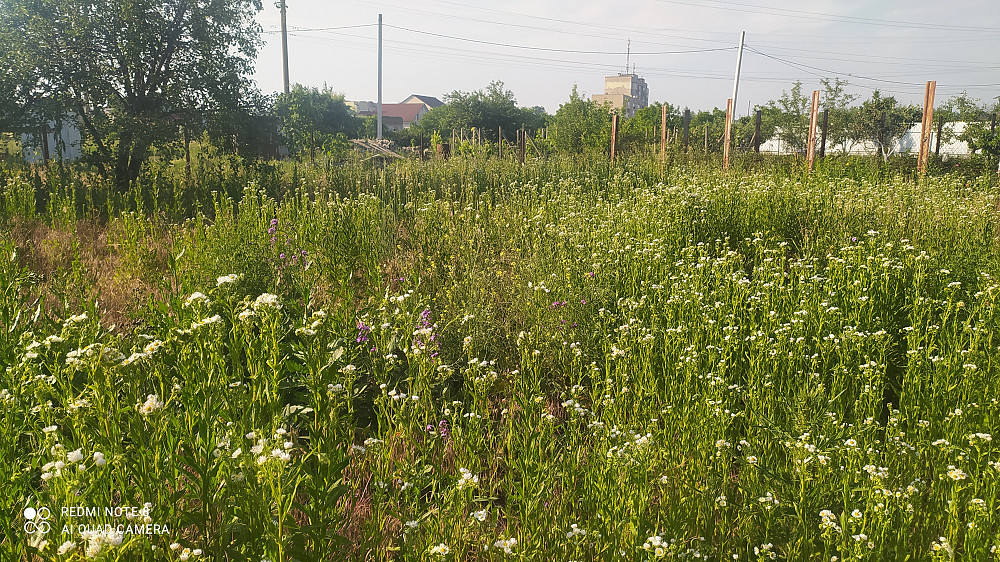 Продаётся дом на ст. Усатово  - фото 11