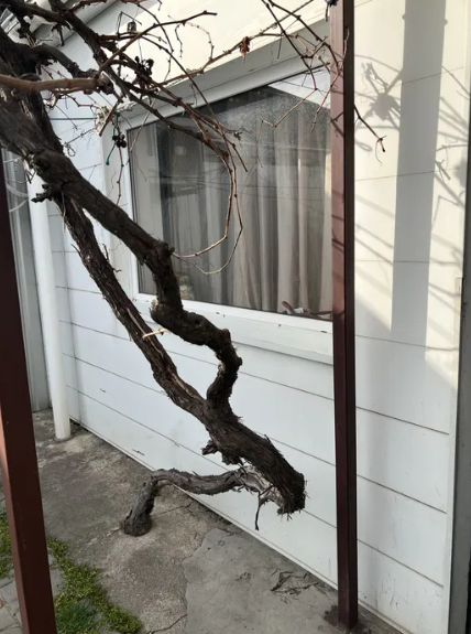 Продам квартиру на земле (домик) и гараж в р-не Большевик Одеса - фото 10