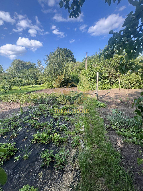 Продається будинок в Борисполі Бориспіль - фото 5