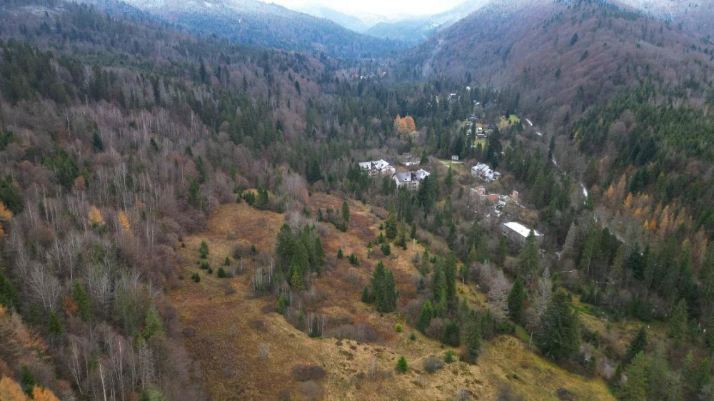 Продаж земельної ділянки 22.6 соток Гребенів - фото 4