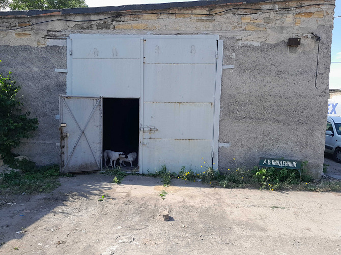 Продаж приміщення вільного призначення Одеса - фото 4