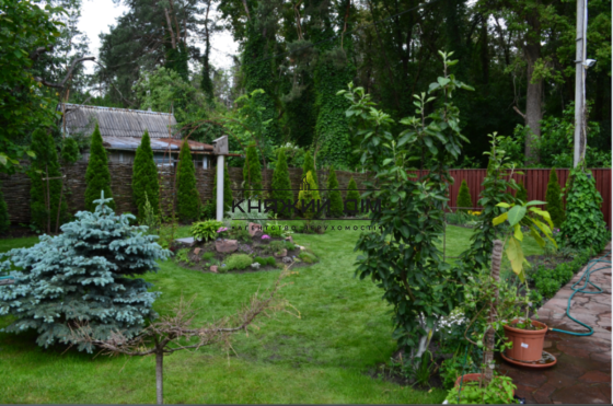 Оренда будинку 180 м2 в с.Чайка. № 1336 Чайки (Богуславський район)