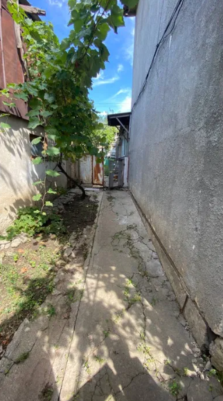 Продам дом в с.Александровка (Лиманский р-н, 5 км от Одессы) Dobrooleksandrivka - photo 13