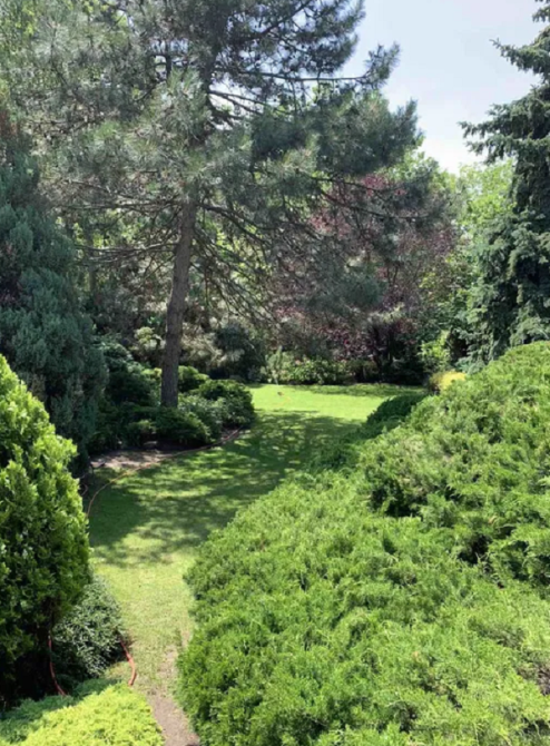 Продам дом на 9 ст. Б. фонтана в Кордонном переулке, 200 м к берегу моря! Одеса - фото 14