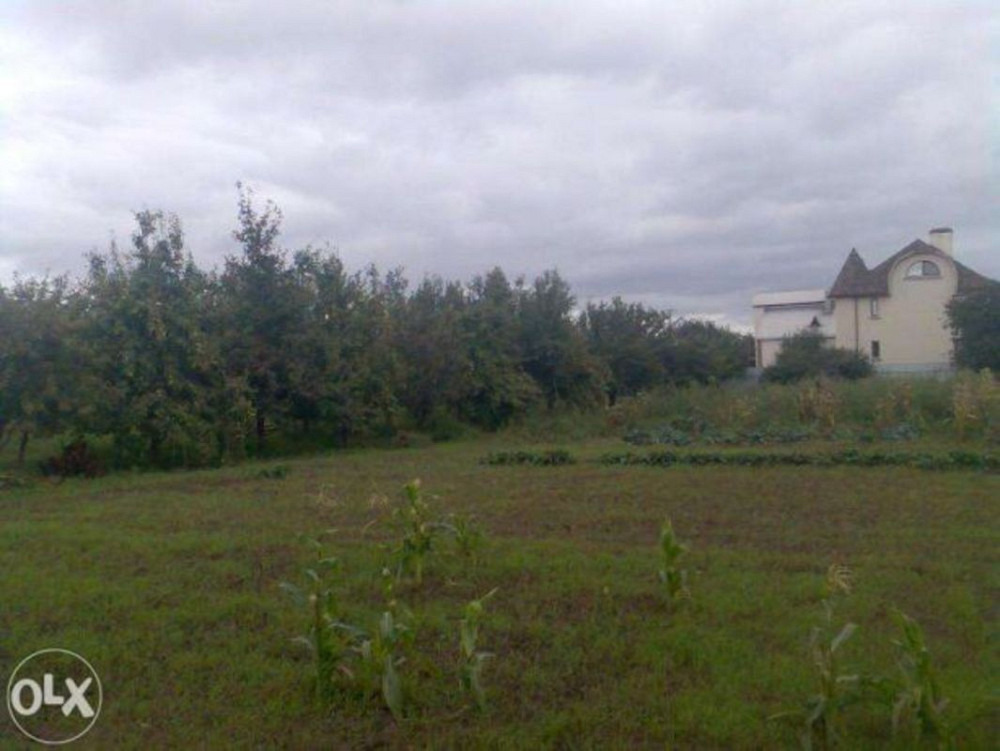 Продаж земельної ділянки 25 соток  - фото 2