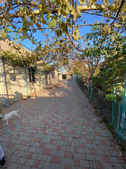 Продам дом с газом и баней в с.Маяки (27 км от Одессы) Маяки (Біляївський район) - фото 8