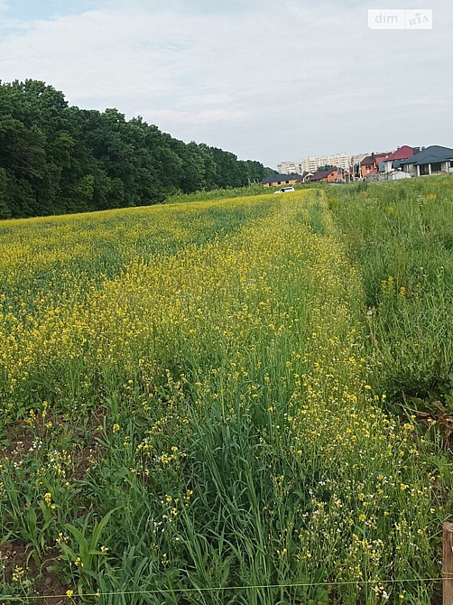 Продаж земельної ділянки 12 соток Винница - изображение 2