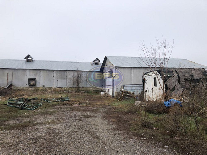 Продаж виробниче приміщення Петродолинське - фото 7