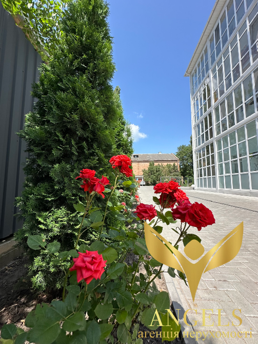 Продажа 2к Квартира 47.8 кв.м ЖК Сузірʼя 2020 Кропивницкий - изображение 1