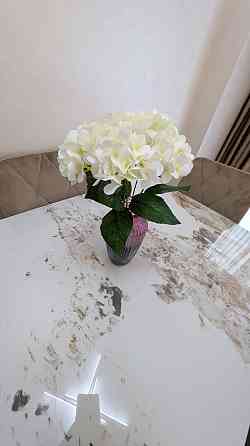 Продаж Квартира 1-кімнатна, 7/13 поверх на Вовчинецька, 223-А Ивано-Франковск