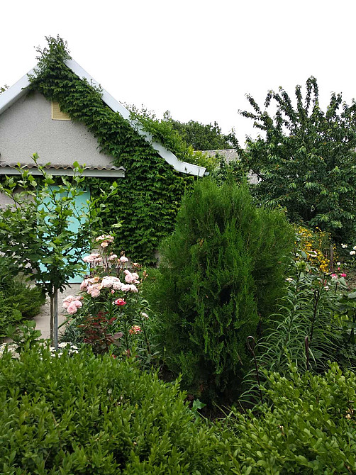 Вилла 200м от моря у моря в Курортном Курортне - фото 10