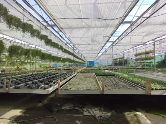 Здається Будівля / павільйон / комплекс площа 2200 кв.м Минай Патруся Карпатського Минай