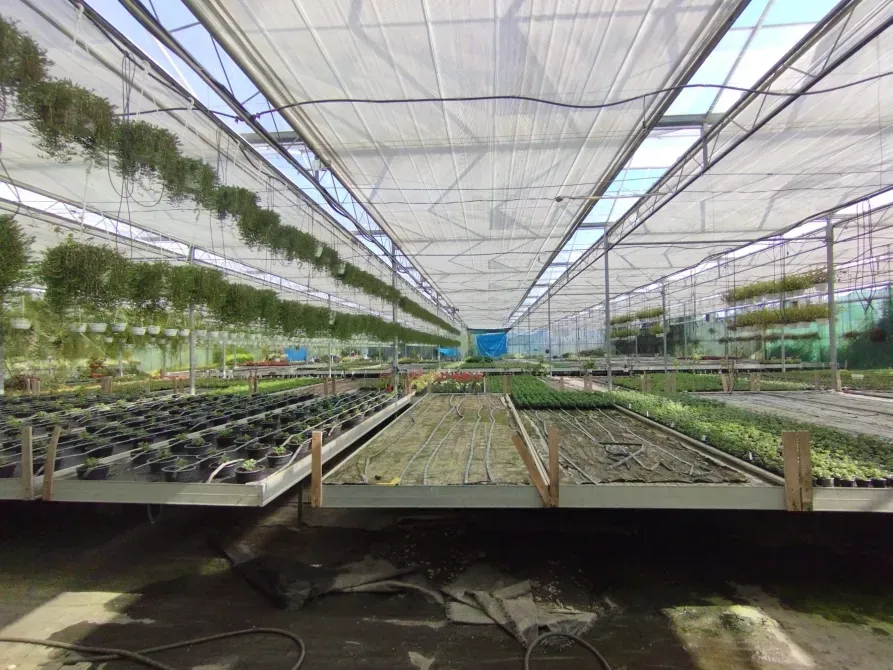 Здається Будівля / павільйон / комплекс площа 2200 кв.м Минай Патруся Карпатського Минай - фото 1