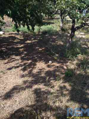 Продаж комерційне приміщення на ул. Сегедская, 1/3 приміщень - 5, поверх - 1 Odessa