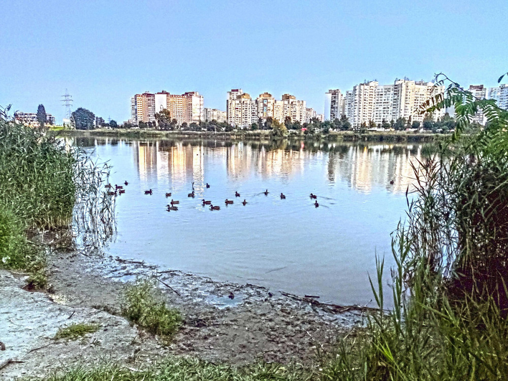 Оренда Квартира 1-кімнатна, 13/15 поверх на Бажана, 1м Киев - изображение 15