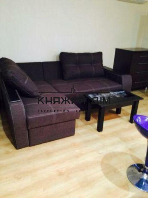 Оренда Квартира 2-кімнатна, 4/5 поверх на Богомольца Академика ул. Київ - фото 14