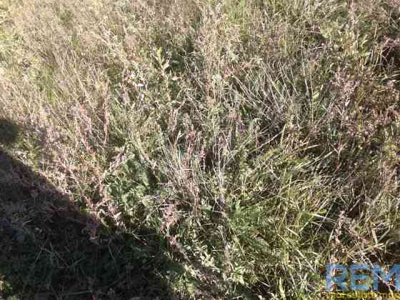 Продаж земельної ділянки 0.1 соток на ул. Лесі Українки, 1б 