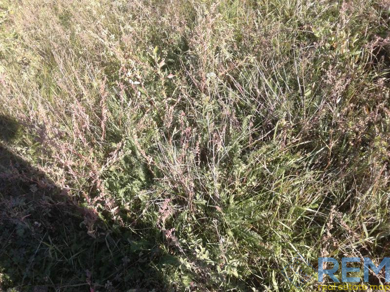 Продаж земельної ділянки 0.1 соток на ул. Лесі Українки, 1б  - фото 5