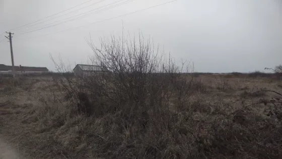 Продаж земельної ділянки Для будівництва приватного житлового будинку площа 15 сот Шкільна Тийглаш