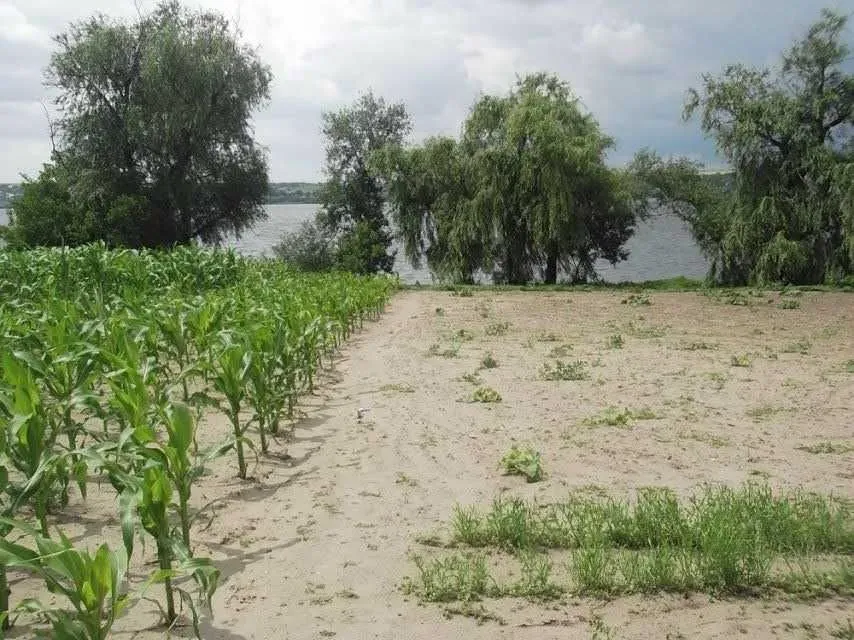 Продаж 1-поверховий Будинок з ділянкою 25 сот 67 кв.м 4 кімн. на с Діброва Дніпро - фото 7