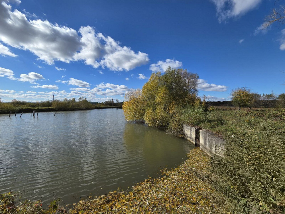 Продаж земельної ділянки 1.08 га Хом'яківка (Снятинський район) - фото 1