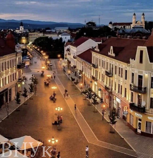 Продаж Квартира 3-кімнатна, 2/4 поверх на Петефі пл. Uzhhorod - photo 1