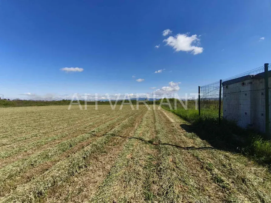 Продаж земельної ділянки Для сільськогосподарської діяльності площа 8 сот Польова Кінчеш - фото 13