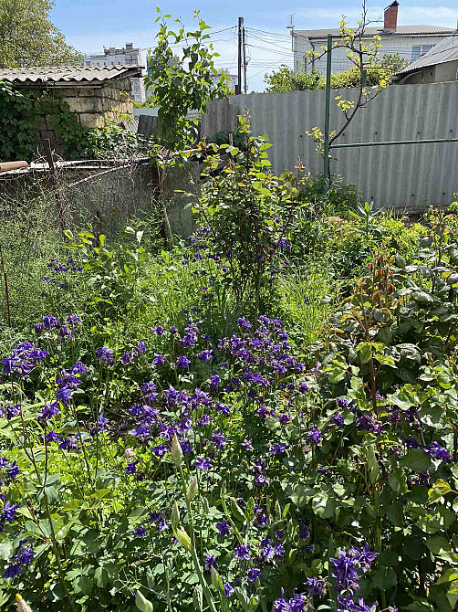 Продам дом на Черемушках с большим участком. Одеса - фото 10