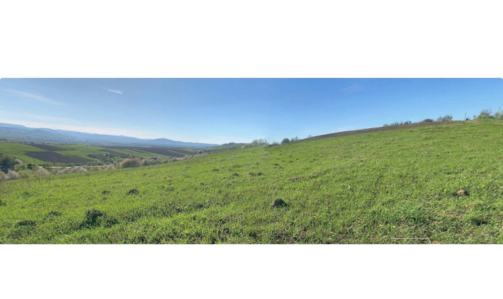 Продаж земельної ділянки 50 соток  - photo 1