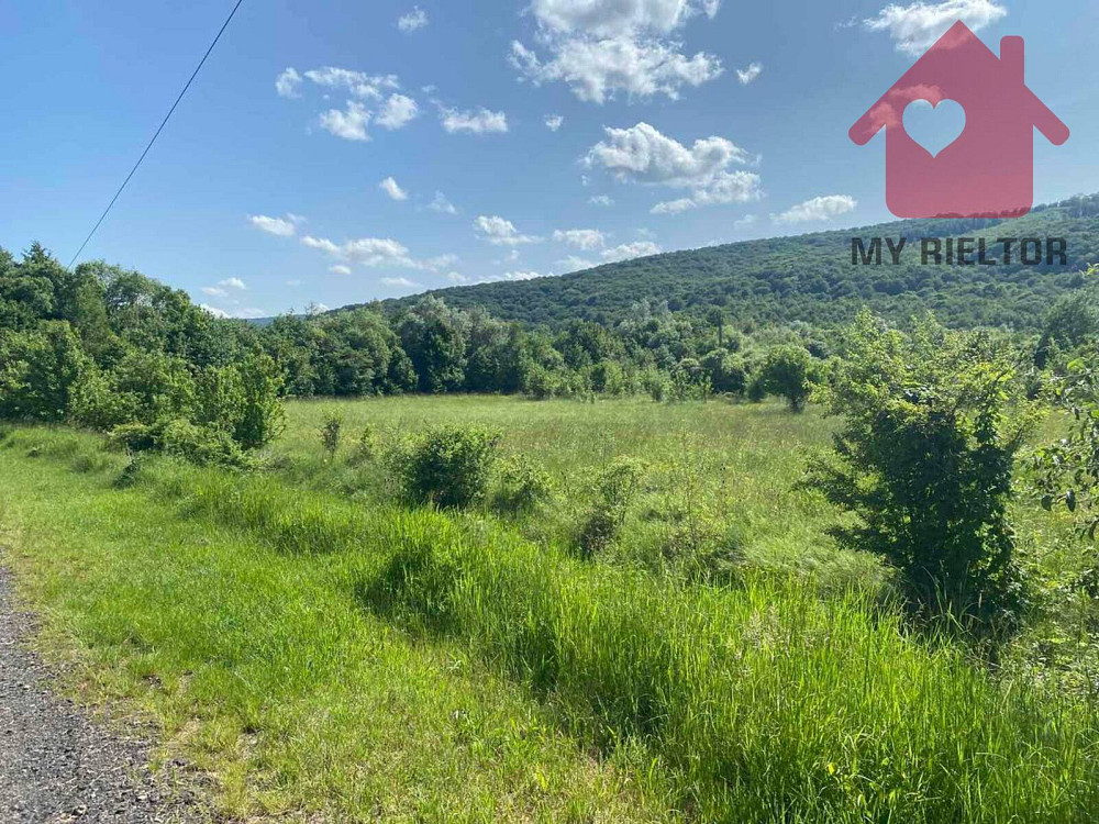 Продаж земельної ділянки 29 соток на Ублянська Malyi Bereznyi - photo 9