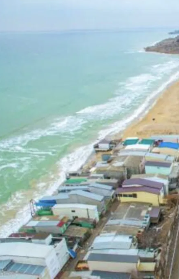 Продам дачу возле моря в Новой Дофиновке (243 Причал) Nova Dofinivka - photo 9