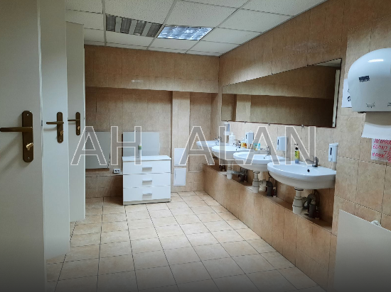 Оренда Будинок 5-кімнатний на Жилянська вул., 59 Київ - фото 12