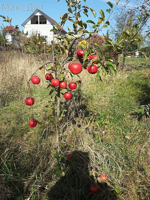 Оренда Будинок на вул. Львівська Ternopil' - photo 2