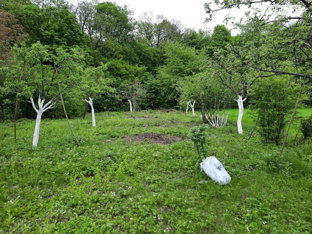 Продаж земельної ділянки 40 соток  - фото 1