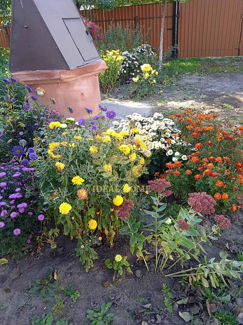 Продам будинок у Житних Горах  - фото 15