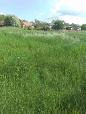 Продаж земельної ділянки 0.1 соток на ул. Павлова, 27б Нерубайське