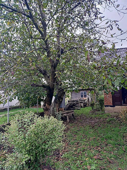 Продаж Будинок на Вільшанецька Тисмениця - фото 5