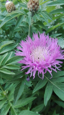 Продаж земельної ділянки 0 соток на ул. Посмитного, 6 Odessa - photo 4