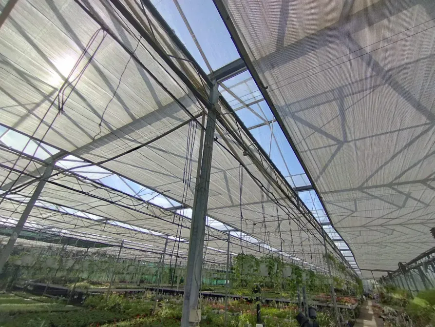 Здається Будівля / павільйон / комплекс площа 2200 кв.м Минай Патруся Карпатського Минай - фото 5