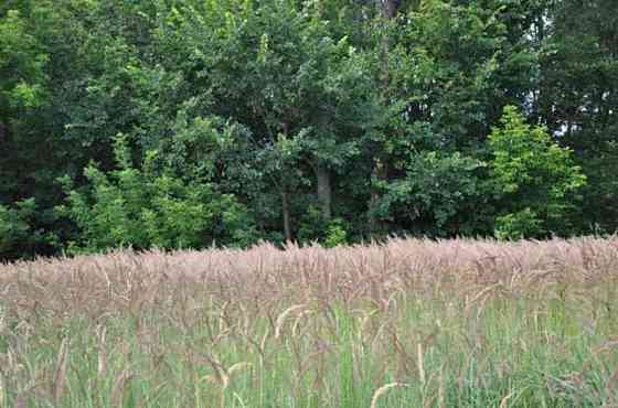 Продаж земельної ділянки 13 соток Вишеньки