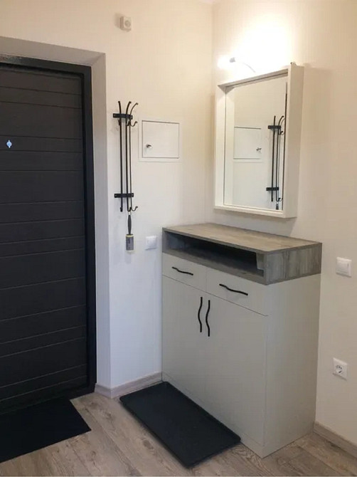 Оренда Квартира 1-кімнатна, 7/24 поверх на Доківська, 10 Київ - фото 5